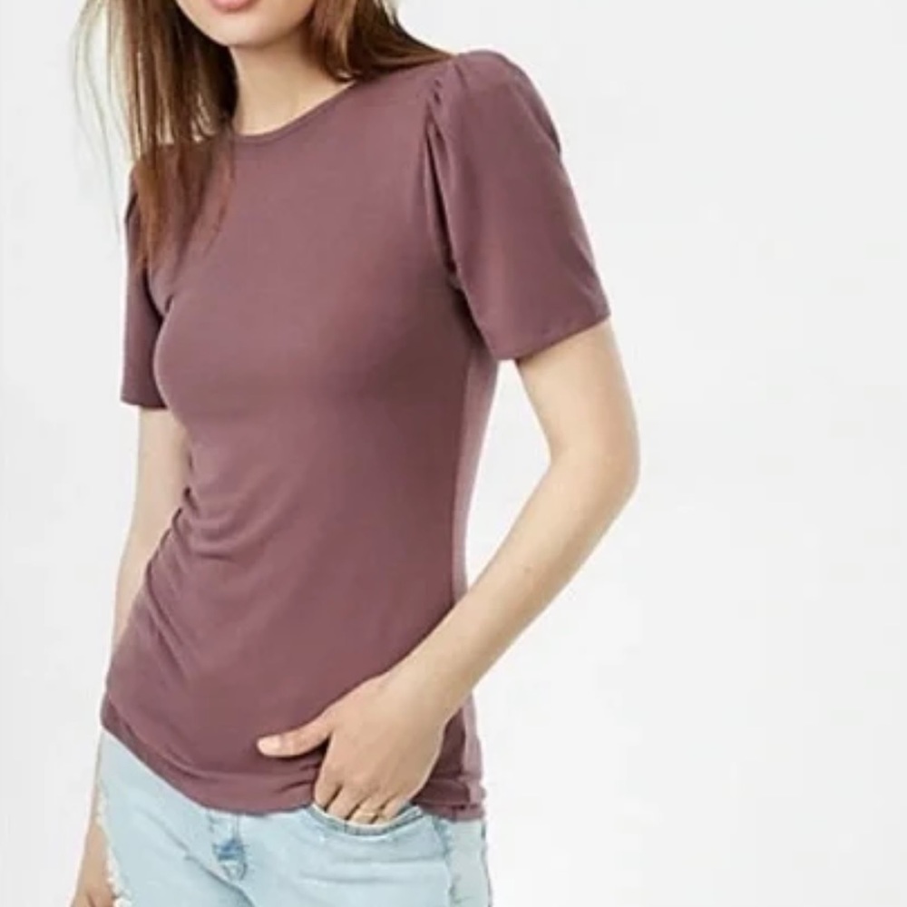 Express Rusty Mauve Puff Sleeve Short Sleeve Fitted Top